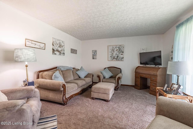 2149 Shrewsbury Rd, Leitchfield, KY 42754 - living area featuring carpet flooring and a textured ceiling