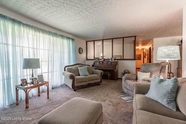 2149 Shrewsbury Rd, Leitchfield, KY 42754 - carpeted living area featuring a textured ceiling