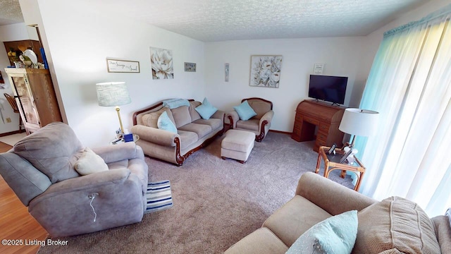 2149 Shrewsbury Rd, Leitchfield, KY 42754 - living area featuring a textured ceiling