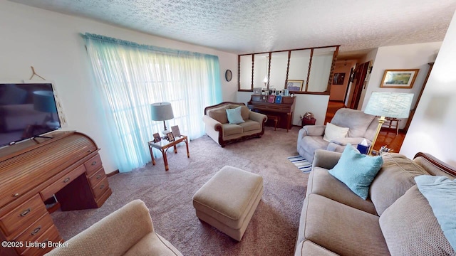 2149 Shrewsbury Rd, Leitchfield, KY 42754 - carpeted living area featuring a textured ceiling