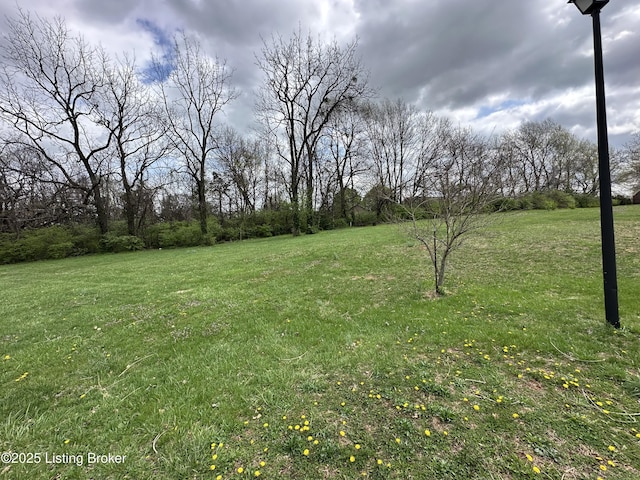 926 Woods Run Rd, Bardstown, KY 40004 - photo 1