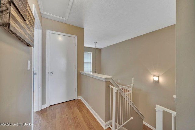 9415 Bayberry Green Ln, Louisville, KY 40291 - photo 10