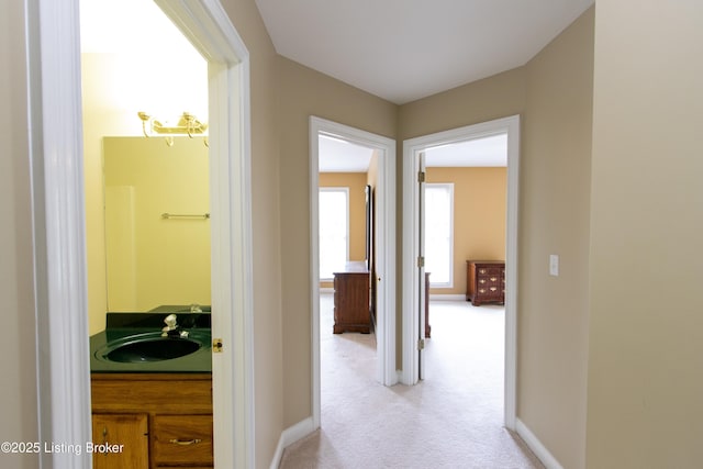 915 Woods Run Rd, Bardstown, KY 40004 - photo 29