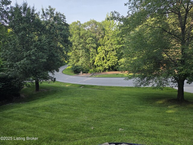 8818 Mountain Brook Dr, Louisville, KY 40272 - photo 4