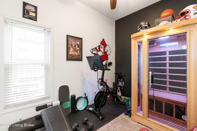835 Forrest St, Louisville, KY 40217 - workout area with healthy amount of natural light and a ceiling fan