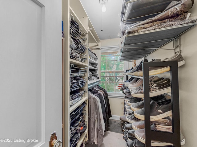 3615 Hycliffe Ave, Louisville, KY 40207 - view of walk in closet