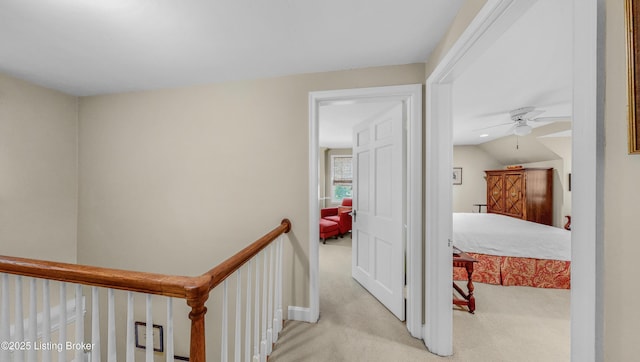 3615 Hycliffe Ave, Louisville, KY 40207 - hallway featuring carpet flooring
