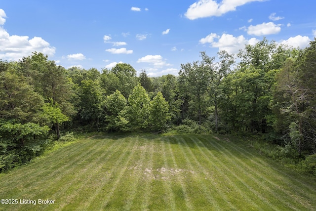 6103 Winkler Rd, Crestwood, KY 40014 - view of green lawn