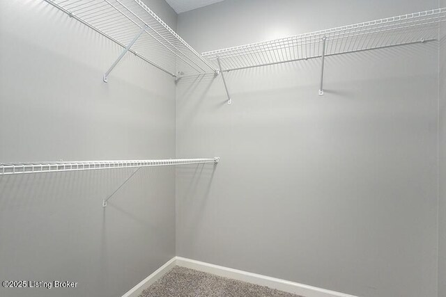 137 Stone Ridge Ct, Fisherville, KY 40023 - photo 30