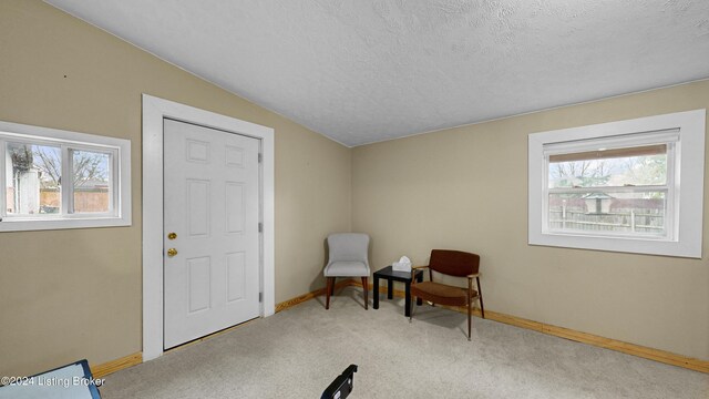 4808 Redmon Ct, Louisville, KY 40291 - photo 10