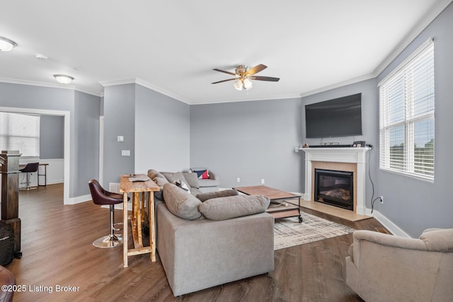 4066 Firestone Way, Shelbyville, KY 40065 - living area with a ceiling fan, wood finished floors, a tiled fireplace, and ornamental molding