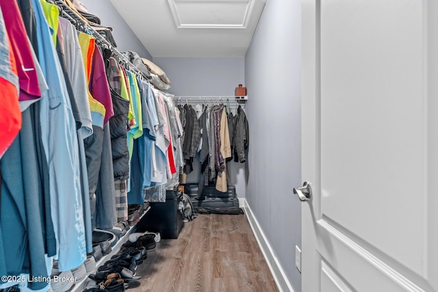 4066 Firestone Way, Shelbyville, KY 40065 - spacious closet with attic access and wood finished floors