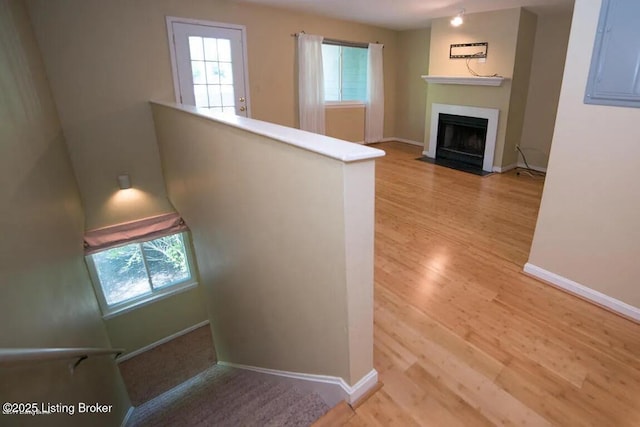37 Lake Ave, Louisville, KY 40206 - staircase featuring plenty of natural light, wood finished floors, and a fireplace with flush hearth