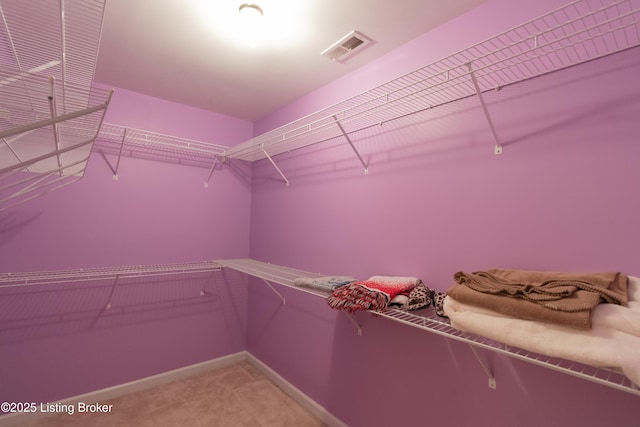 115 Canewood Blvd, Georgetown, KY 40324 - spacious closet featuring light carpet
