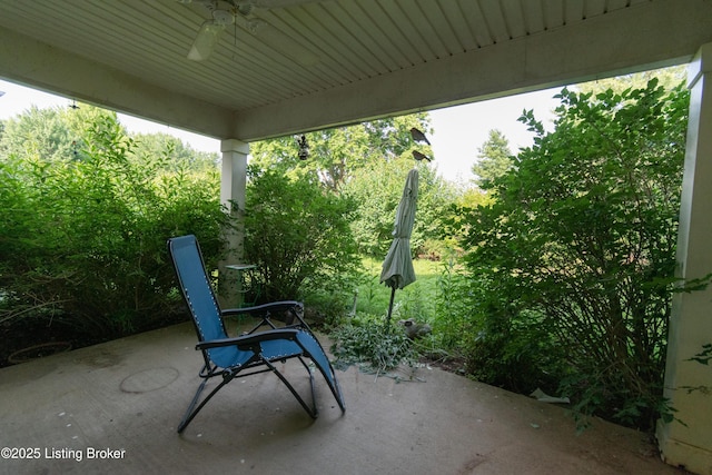115 Canewood Blvd, Georgetown, KY 40324 - view of patio with ceiling fan