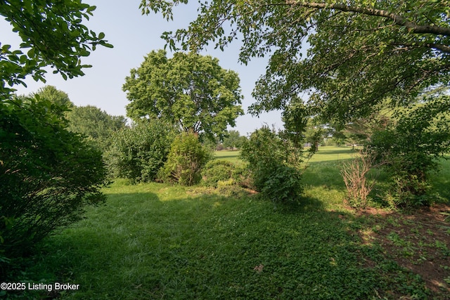 115 Canewood Blvd, Georgetown, KY 40324 - view of green lawn