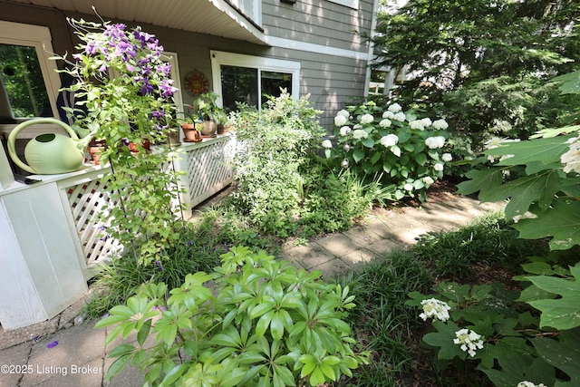 55 Lake Ave, Louisville, KY 40206 - photo 1