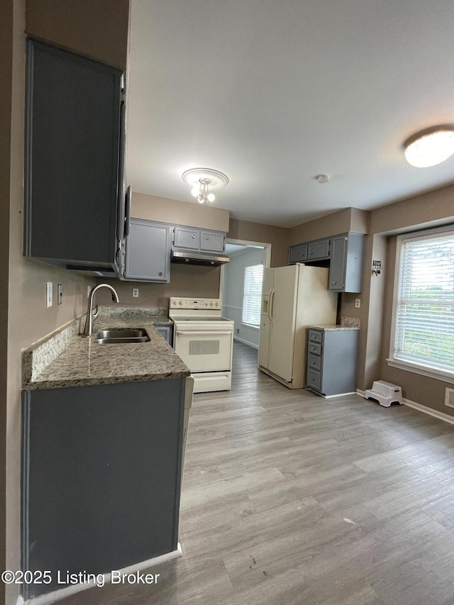 402 Bromwell Dr, Louisville, KY 40245 - kitchen featuring white appliances, under cabinet range hood, light wood-type flooring, and gray cabinets