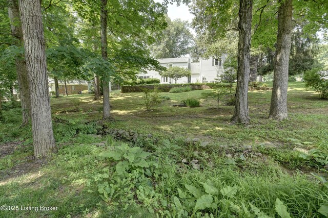 421 Red Bud Dr, Elizabethtown, KY 42701 - photo 42
