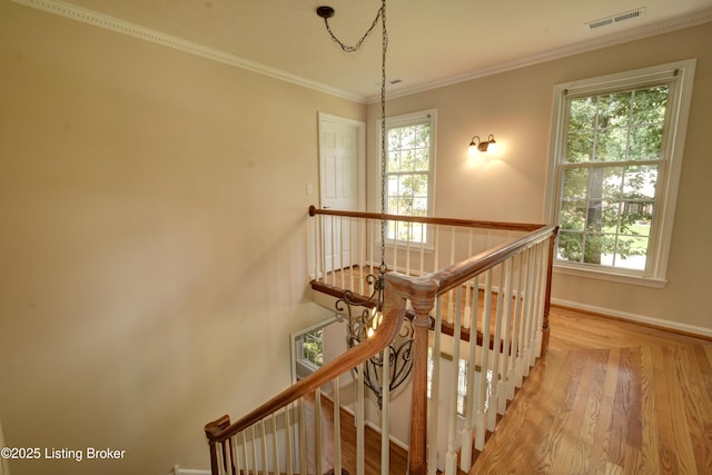 421 Red Bud Dr, Elizabethtown, KY 42701 - photo 17