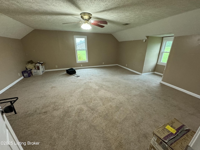 343 Navaho Rd, Brandenburg, KY 40108 - bonus room with lofted ceiling, a ceiling fan, a textured ceiling, and carpet flooring