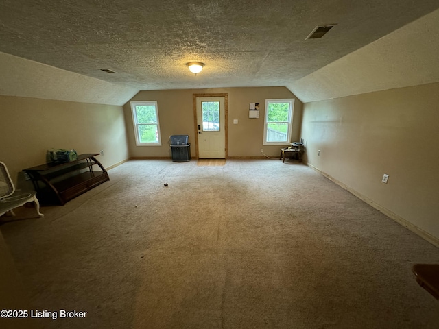 343 Navaho Rd, Brandenburg, KY 40108 - bonus room with vaulted ceiling, carpet, a textured ceiling, and plenty of natural light