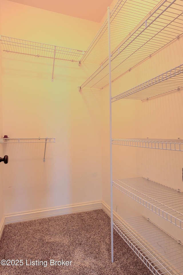 10240 Saddle Pointe Dr, Louisville, KY 40291 - photo 30