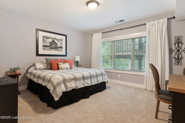 1310 Provident Creek Ct, Fisherville, KY 40023 - photo 70