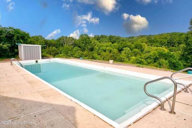 3591 Bardstown Rd, Lawrenceburg, KY 40342 - outdoor pool featuring a forest view and a patio