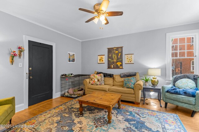 2450 Glenmary Ave Apt 3, Louisville, KY 40204 - photo 6