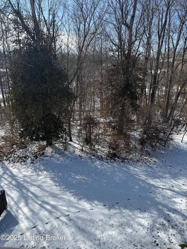 7073 Glen Kerry Ct, Florence, KY 41042 - view of snowy yard