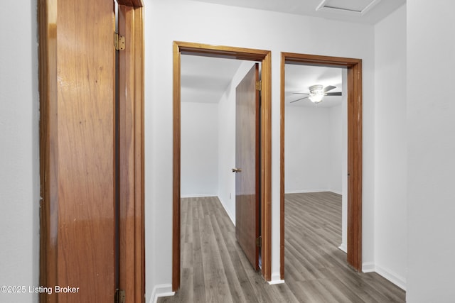 6325 Hackberry Way, Louisville, KY 40229 - hallway featuring wood finished floors