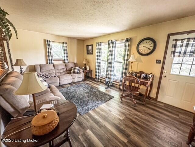 2866 Sunbeam Rd, Leitchfield, KY 42754 - living area with wood finished floors and a textured ceiling