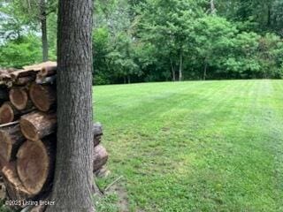 1102 W Hebron Ln, Shepherdsville, KY 40165 - view of green lawn