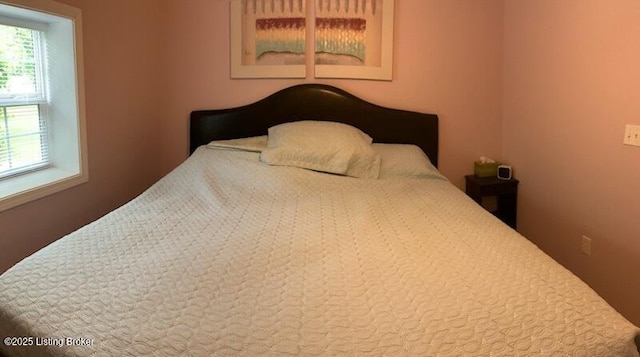 1102 W Hebron Ln, Shepherdsville, KY 40165 - view of bedroom