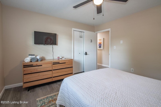 10563 S Dixie Hwy, Sonora, KY 42776 - bedroom featuring dark wood-style floors, a ceiling fan, and a closet