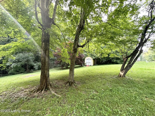 315 Wild Rose Dr, New Haven, KY 40051 - photo 4