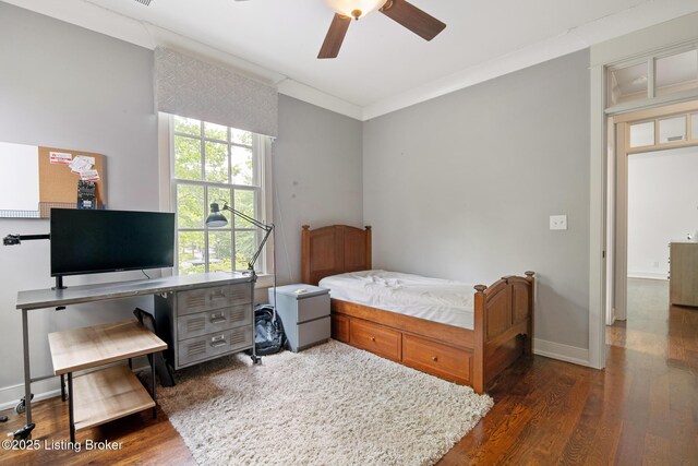 10806 Meeting St, Prospect, KY 40059 - photo 45