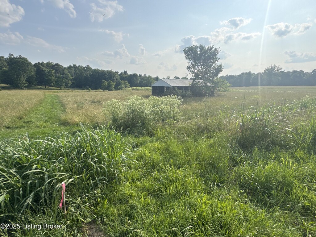 LOT2 Wray Dr, Shepherdsville, KY 40165 - photo 1