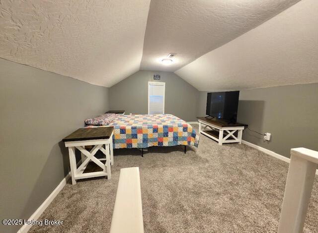 1515 Concord Rd, Falls Of Rough, KY 40119 - bedroom with a textured ceiling, carpet floors, and lofted ceiling