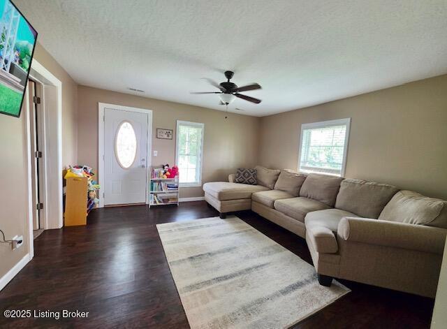1515 Concord Rd, Falls Of Rough, KY 40119 - living area with healthy amount of natural light, a ceiling fan, wood finished floors, and a textured ceiling
