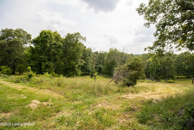 0 Summit Eastview Rd, Eastview, KY 42732