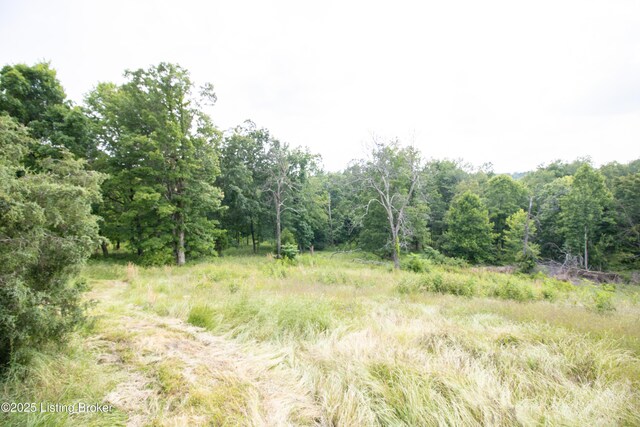 0 Summit Eastview Rd, Eastview, KY 42732