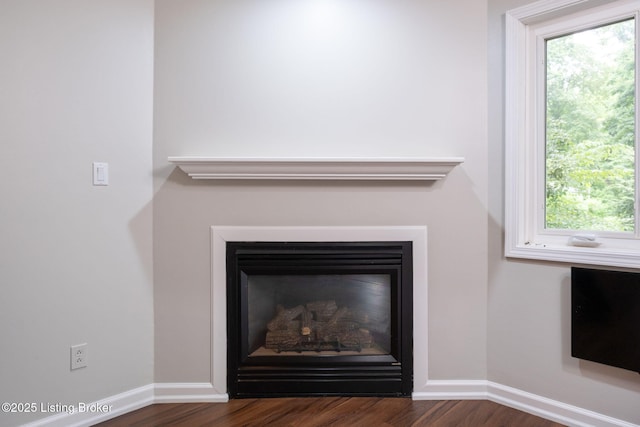 7210 River Rd, Prospect, KY 40059 - detailed view of a glass covered fireplace and wood finished floors