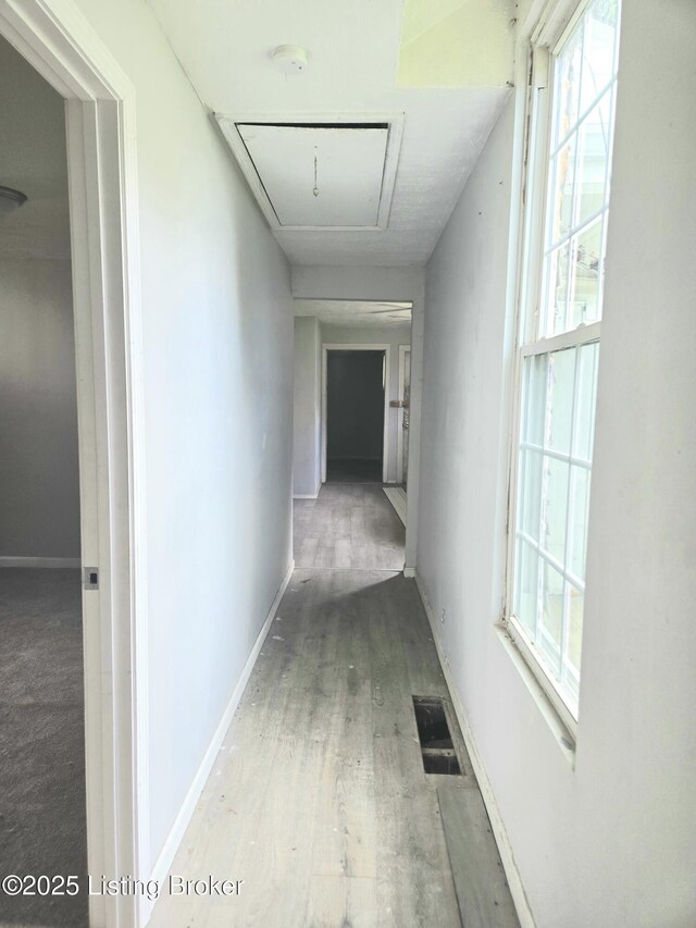 2616 Duncan St, Louisville, KY 40212 - photo 9