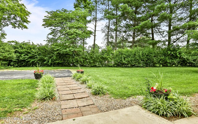 1643 Greenland Park Cir Unit 1, Shelbyville, KY 40065 - photo 5