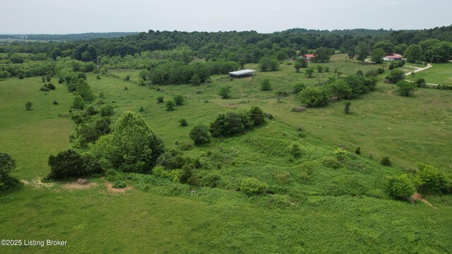 0 Upton Rd, Upton, KY 42784 - photo 10