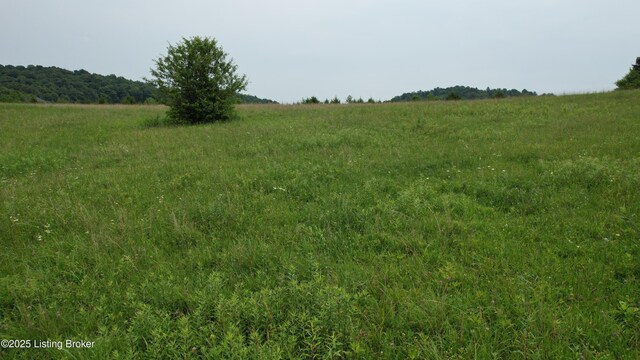 0 Upton Rd, Upton, KY 42784 - photo 12