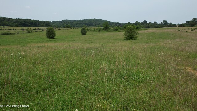 0 Upton Rd, Upton, KY 42784 - photo 13