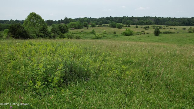 0 Upton Rd, Upton, KY 42784 - photo 14